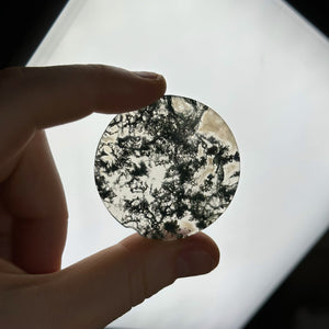 Moss Agate Disc Carving C