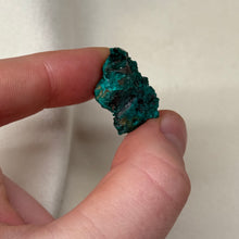 Load image into Gallery viewer, Dioptase Cluster I
