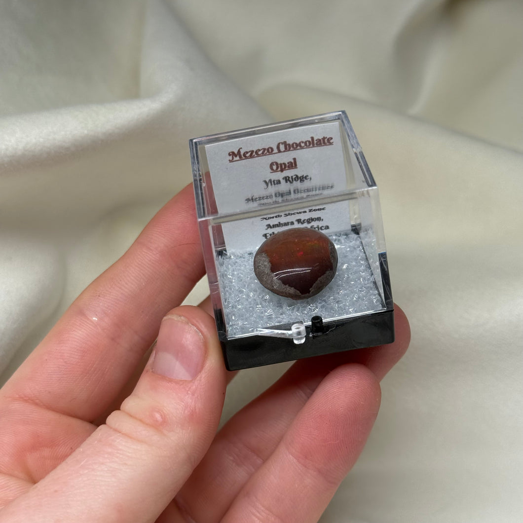 Chocolate Opal D