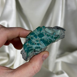 Botryoidal Chrysocolla Specimen