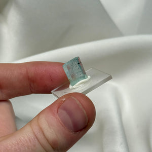 Aquamarine with Tourmaline Inclusions
