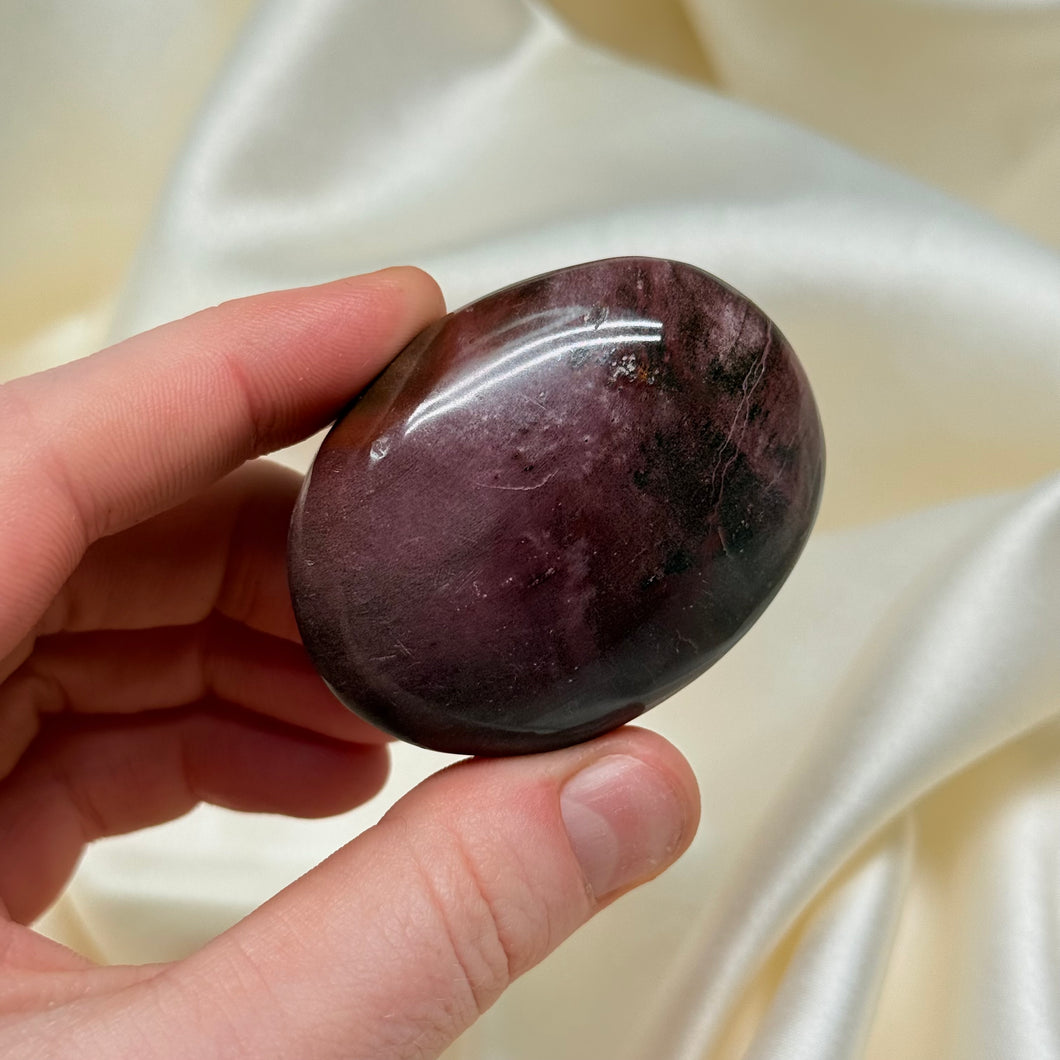 Petrified Wood Palmstone A