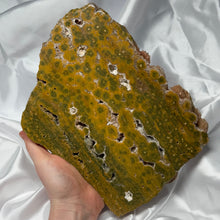Load image into Gallery viewer, XL Funky Sea Jasper Druzy Slab
