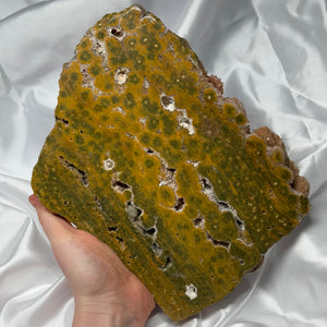 XL Funky Sea Jasper Druzy Slab