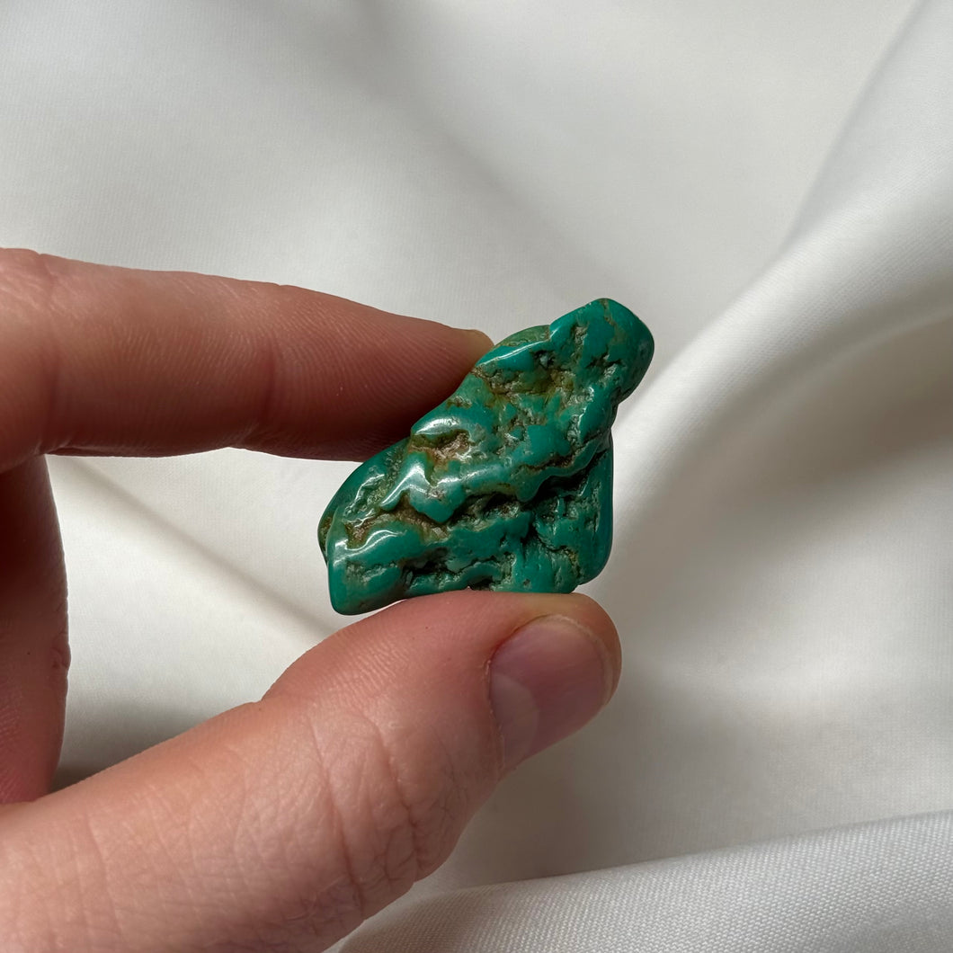 Mexican Turquoise Specimen C