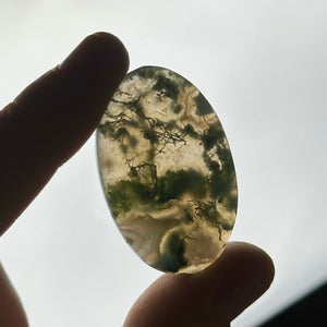 Moss Agate Cabochon F