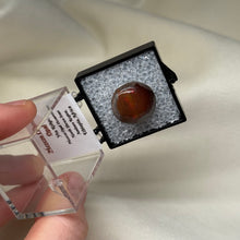 Load image into Gallery viewer, Chocolate Opal D
