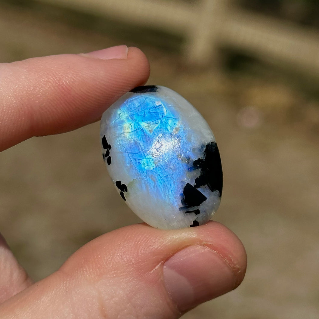5.6g A Grade Rainbow Moonstone with Black Tourmaline Inclusions Cabochon