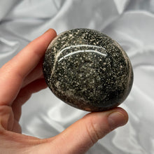 Load image into Gallery viewer, Sea Jasper Palmstone C
