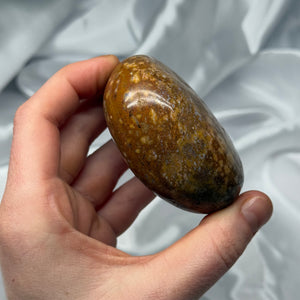 Sea Jasper Palmstone B