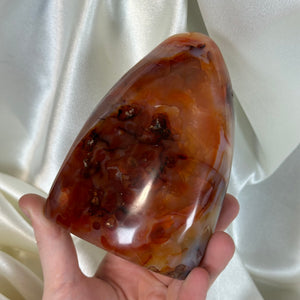 Funky Carnelian Freeform