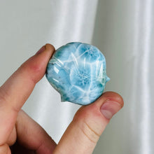 Load image into Gallery viewer, Turtleback Pattern AA Larimar Shell Carving
