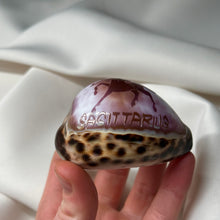 Load image into Gallery viewer, Purple Cowrie with Painted Sagittarius Zodiac Design

