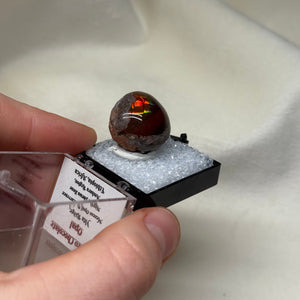 Chocolate Opal A