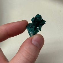 Load image into Gallery viewer, Dioptase Cluster E
