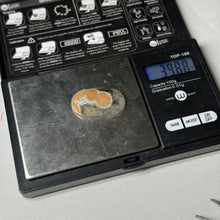 Load image into Gallery viewer, Orbicular Sea Jasper Cabochon 39.88ct
