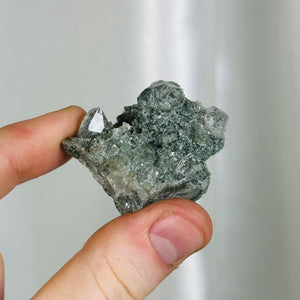 Small Himalayan Quartz Plate with Chunky Points and Chlorite