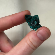 Load image into Gallery viewer, Dioptase Cluster I

