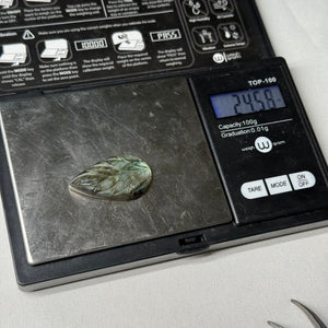 Carved Labradorite Cabochon 24.55ct