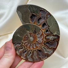 Load image into Gallery viewer, Naturally Iridescent Ammonite Matching Pair with Crystallized Inside A
