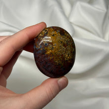 Load image into Gallery viewer, Dark Romance Sea Jasper Palm
