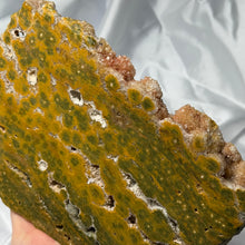 Load image into Gallery viewer, XL Funky Sea Jasper Druzy Slab
