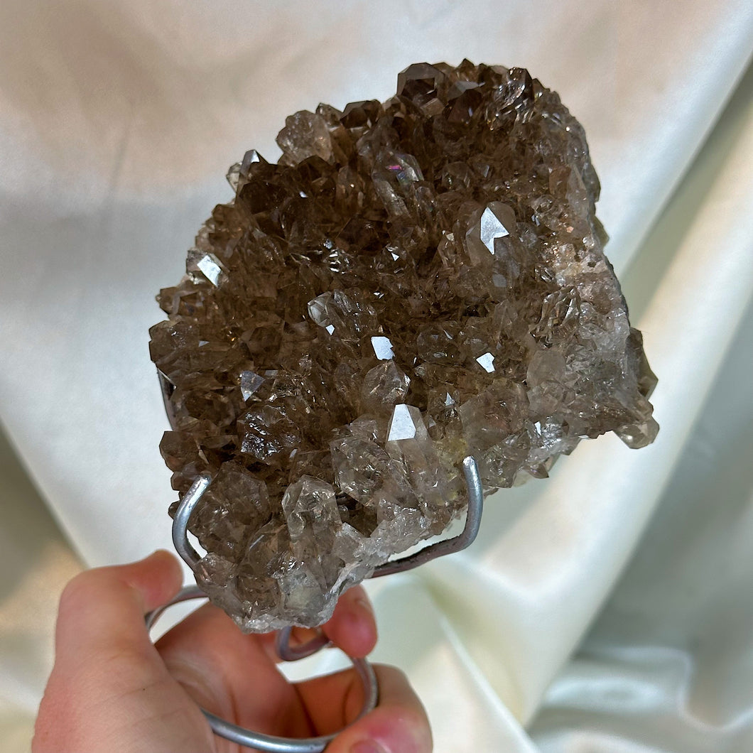 XL Double-Sided AA Rutilated Smoky Quartz on Stand (1lb12oz)