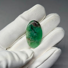 Load image into Gallery viewer, Chrysoprase Cabochon 20ct

