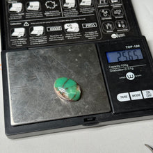 Load image into Gallery viewer, Chrysoprase Cabochon 25.65ct

