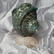 Load image into Gallery viewer, Seashell Lamp
