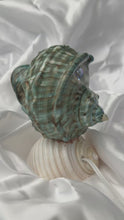 Load and play video in Gallery viewer, Seashell Lamp
