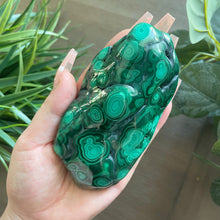 Load image into Gallery viewer, XL Top Quality Malachite Freeform
