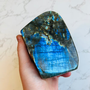 XL Cobalt Blue Labradorite Freeform