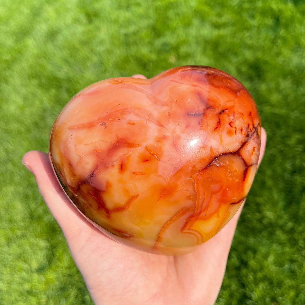 XXL 2lb14.1oz Carnelian Heart with Incredible color and Veins