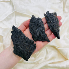 Load image into Gallery viewer, “Witches Broom” Black Kyanite
