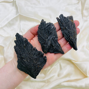 “Witches Broom” Black Kyanite